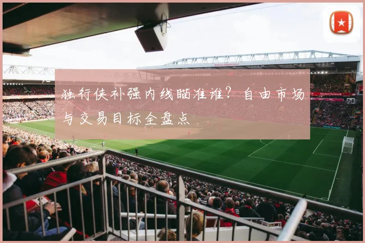 独行侠补强内线瞄准谁？自由市场与交易目标全盘点