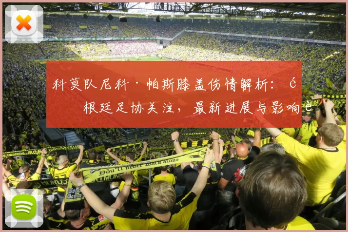 科莫队尼科·帕斯膝盖伤情解析：阿根廷足协关注，最新进展与影响评估